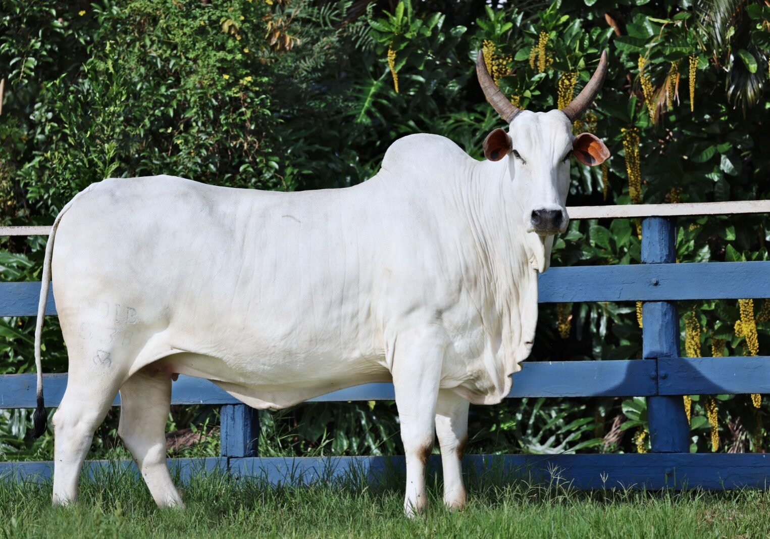 WhatsApp Image 2026-04-07 at 15.40.53 (2)